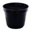  36 po. Plante en pot Croton.-1847274248