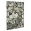 Plant Leaves Abstract - Wrapped Canvas-56658113