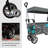 Push & Pull Utility Folding Wagon With Removable Canopy