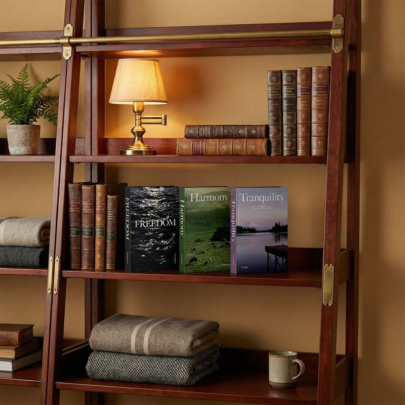 Livres décoratifs de divertissement (ensemble de 3)