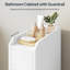 Bathroom Cabinet