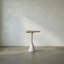 Darwin End Table