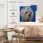 Maltais Shih Tzu Pipa