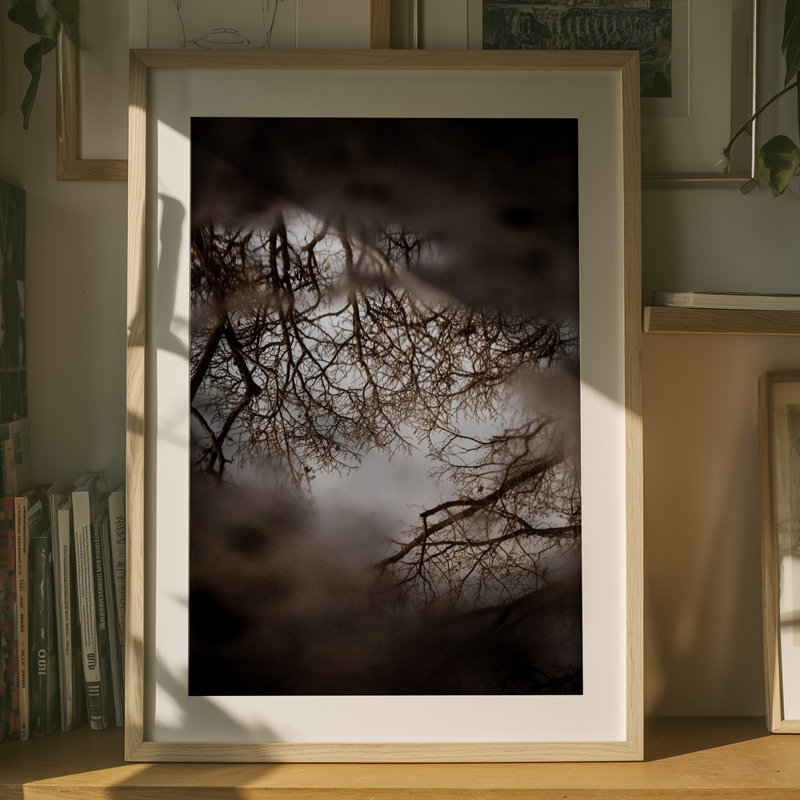 Wrapped Canvas Print, 76.2 cm H x 50.8 cm W