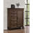 Ranbir 5-drawer Door Chest Burnished Oak-556702771