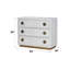 Console Anpu
