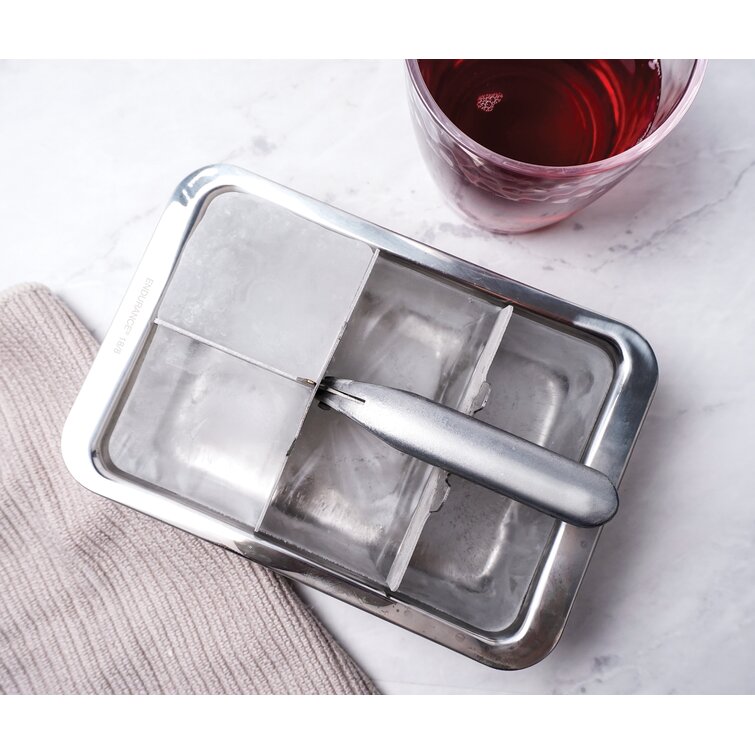 Ippolito Endurance Ice Cube Tray Symple Stuff