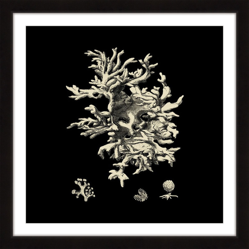 «Black & Tan Coral III», reproduction encadrée, H 18 po x l 18 po x P 1,5 po