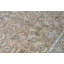 Wool Oriental Area Rug in Brown/Black/Ivory