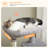 Fedosia 46'' H Cat Tree-1725929627