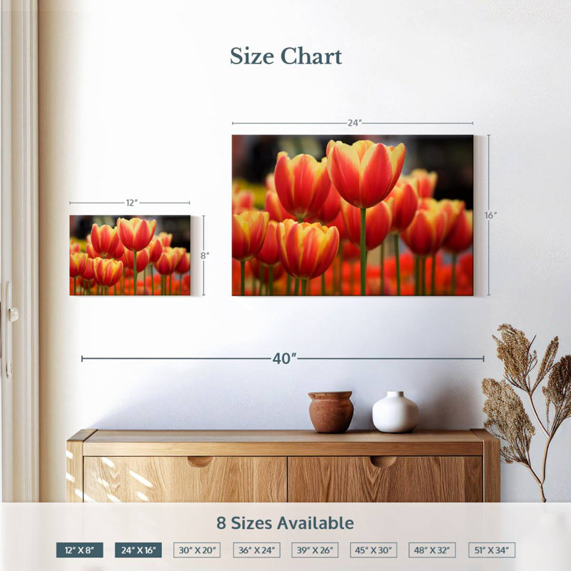 Tulipes hybrides Harnek Darwin, H 16 po x l 24 po