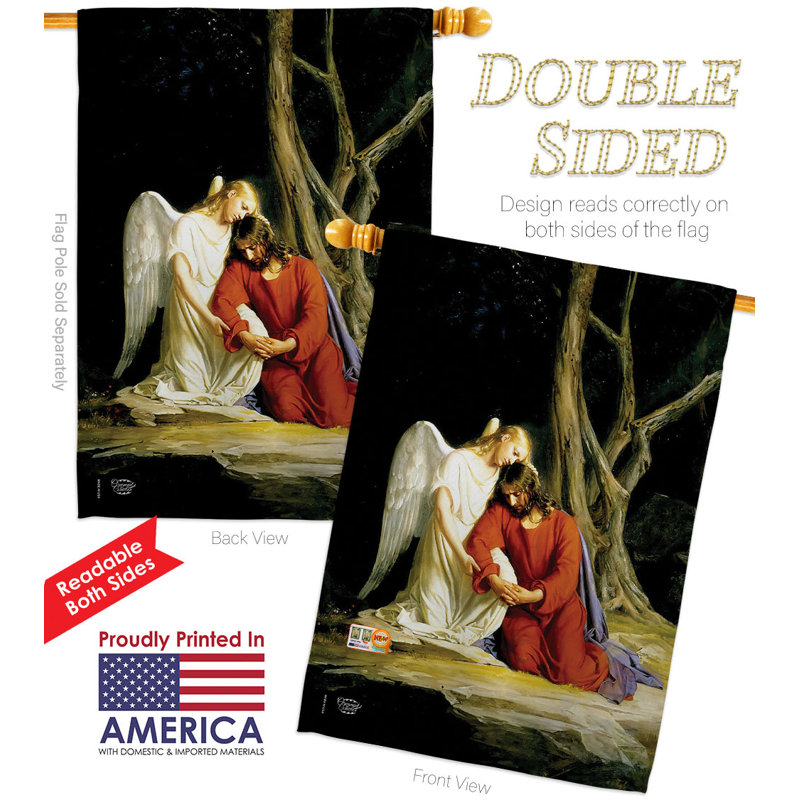 Double Sided 40'' H x 28'' W Polyester House Flag