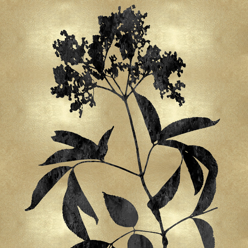 Gold And Black Floral 5 by Danielle Carson - Wrapped Canvas Painting, 91cm H x 91cm W