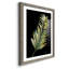 Frond - reproduction de cadre photo sur papier-1056317421-1056317436