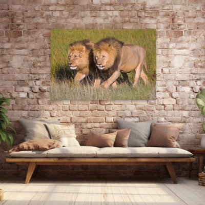 Deux frères de lion marchant dans une forêt, zone de conservation de Nhorongoro, région d'Arusha, Tanzanie, Panthera Leo, art contemporain de paysage forestier abstrait
