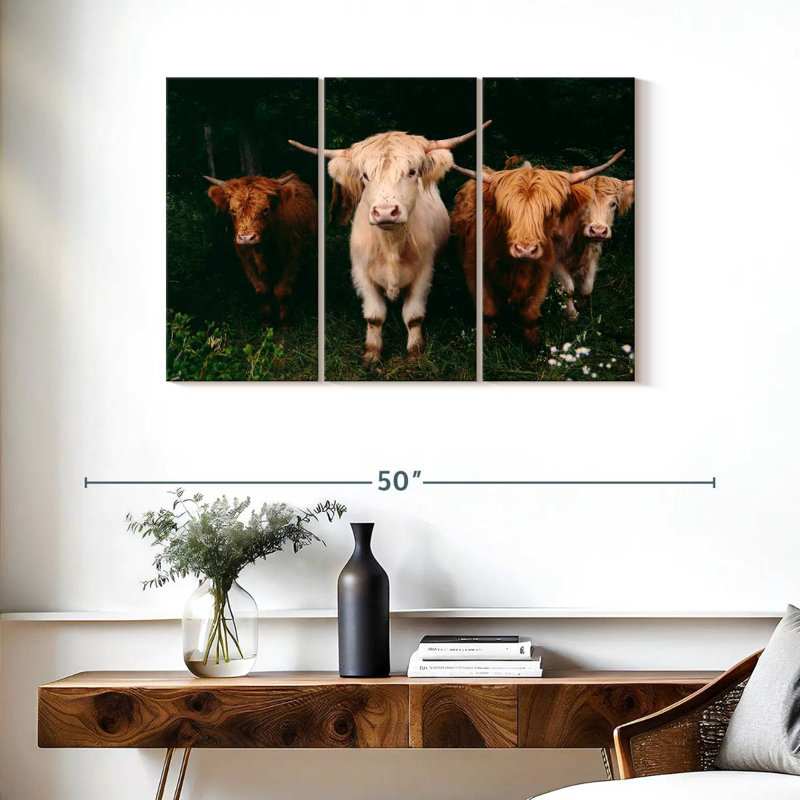 Light Haired Highland Cows, 24" H x 38" W