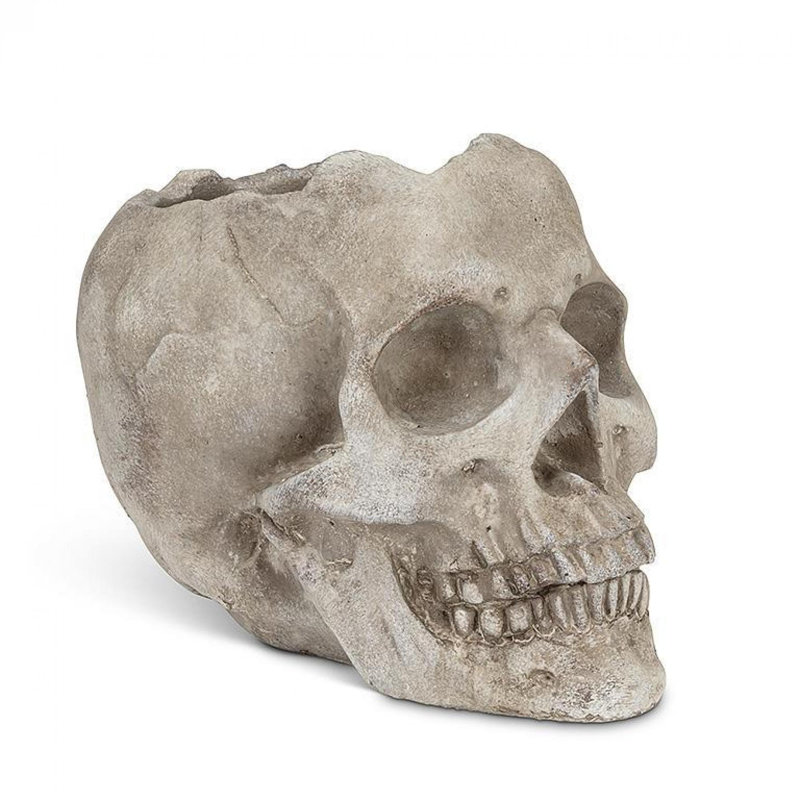 Skull Planter