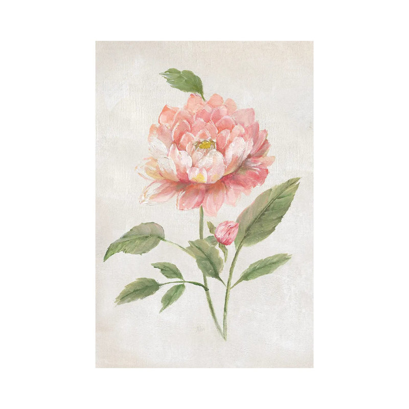 Grandiflora III By Nan - Wrapped Canvas Graphic Art by Nan - Wrapped Canvas Gallery-Wrapped Canvas Giclée