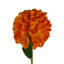Plastic, Silk Artificial Arrangement-106401533