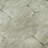 Premium Machine Washable Prisco Aloe Rug-760594078