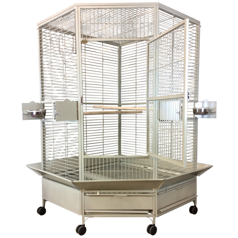 Cage à plateau plat 42 po x 42 po par A&E, Platine