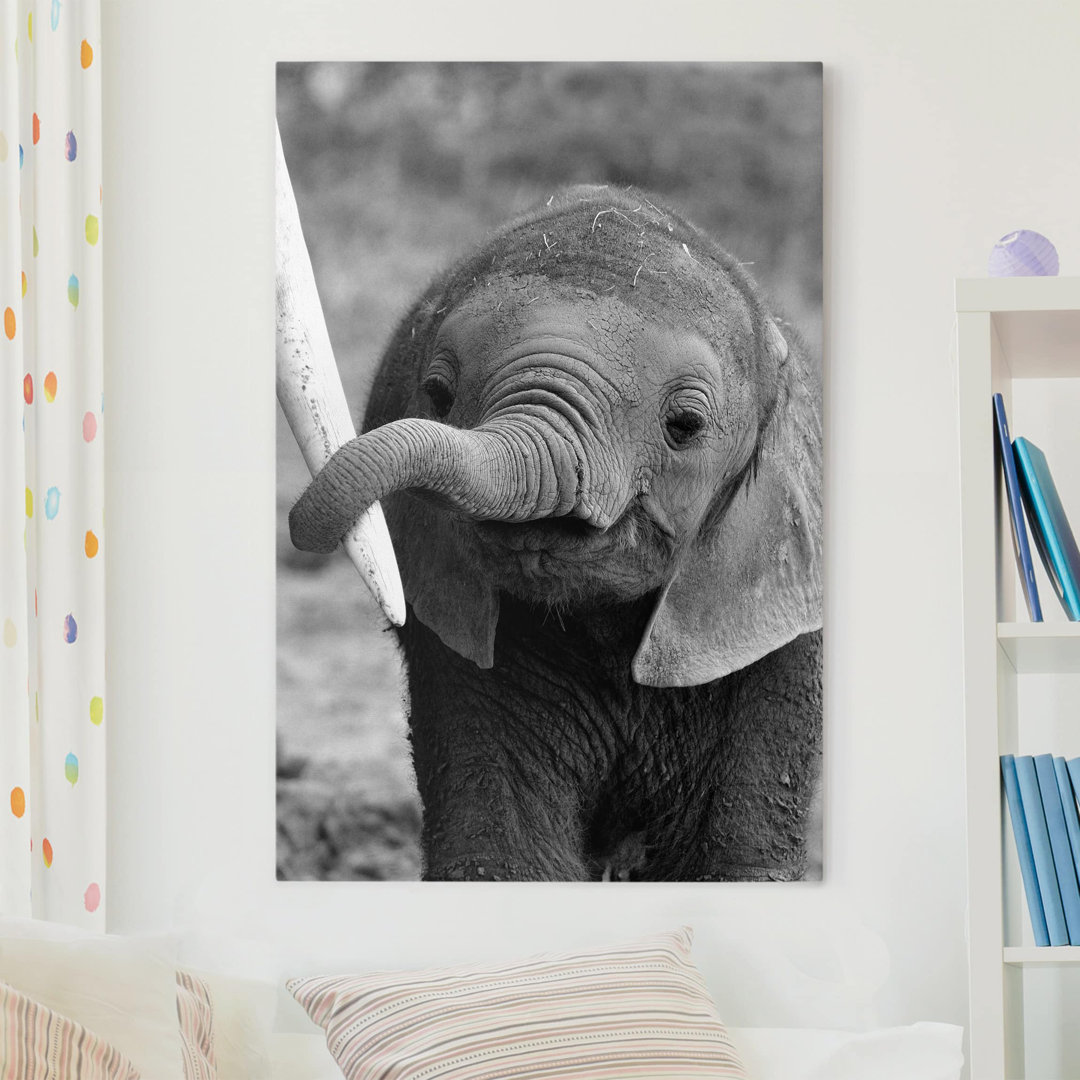 Leinwandbild Elephant Baby