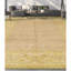 High-Quality Hand-Knotted Brown And Cream Area Rug