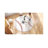 4x5ft Children's Area Rug,Baseball Pattern, Faux Cashmere Non-Slip Carpet, Suitable for Living Room, Bedroom, Children's Room, Home Decor-650992430
