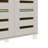 Millan 16 Pair Shoe Storage Cabinet-1303809713