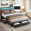 Dayshaun Upholstered Storage Bed-97803519-97803518