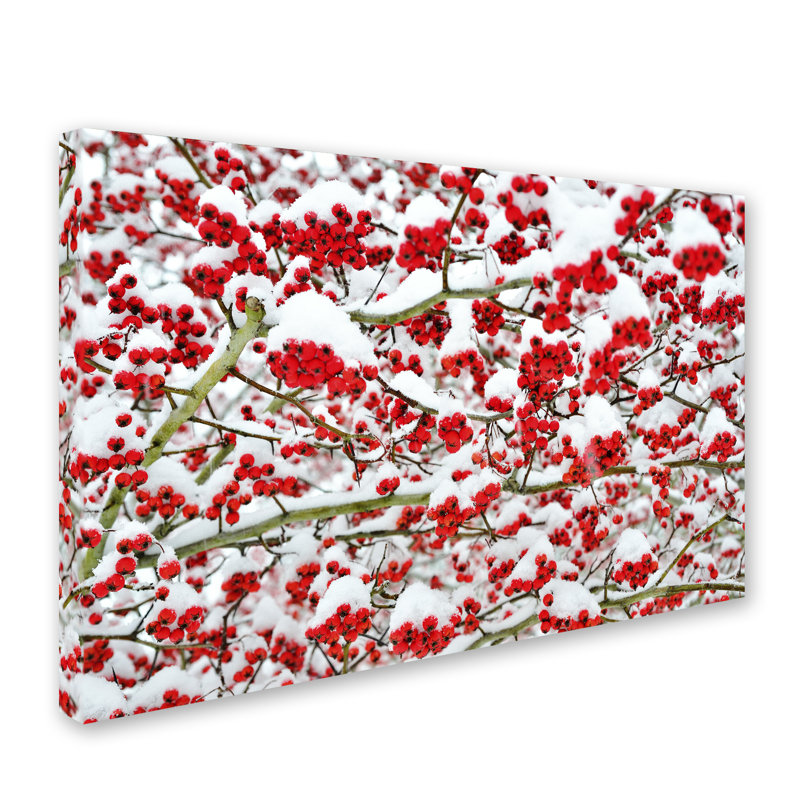 "baies d’hiver dans la neige" par kurt shaffer, reproduction de photo sur toile tendue, H 12 po x l 19 po x P 2 po
