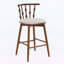 Ensemble de 2 chaises d'appoint d'intérieur combinant élégance traditionnelle et confort moderne-310092168