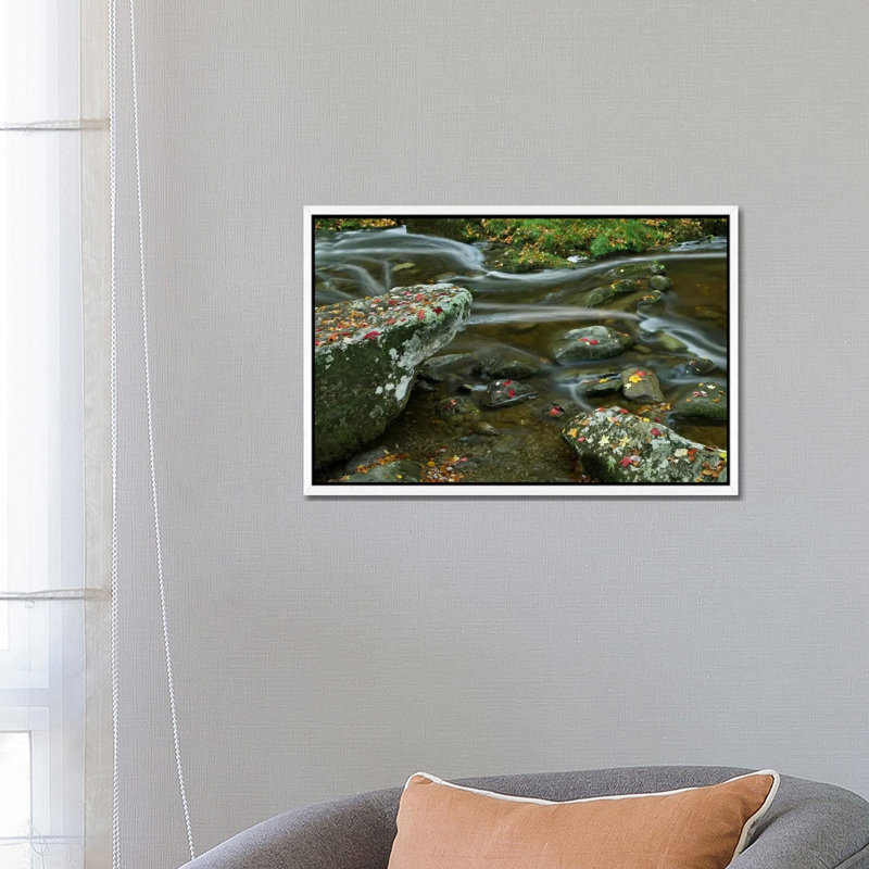 Laurel Creek, Great Smoky Mountains National Park, Tennessee by Tim Fitzharris - Gallery-Wrapped Canvas Giclée on Canvas