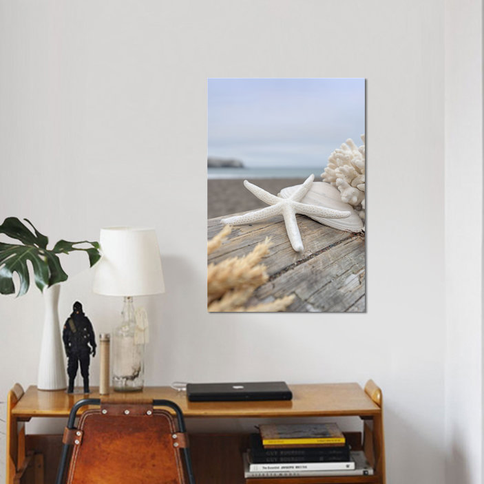 «Crescent Beach Shells XIII», reproduction de photo sur toile, H 18 po x l 12 po x P 1,5 po, Toile tendue, Pas de tapis