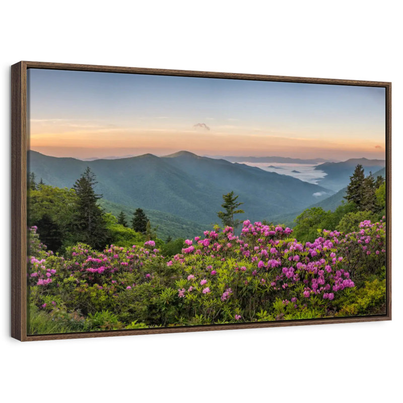 Blue Ridge Mountains View, 13 po x 9 po, Cadre flottant noyer