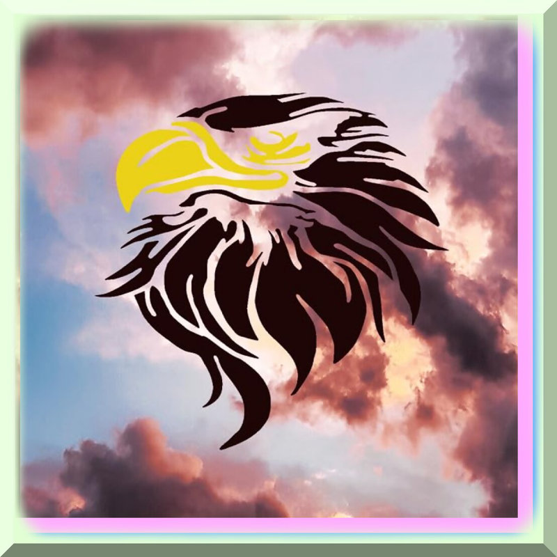 ClearFlex Eagle Reusable Flexible Plastic Stencil