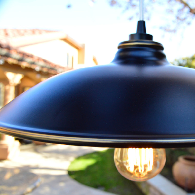Luminaire suspendu d'extérieur 1 lumière, Noir impérial