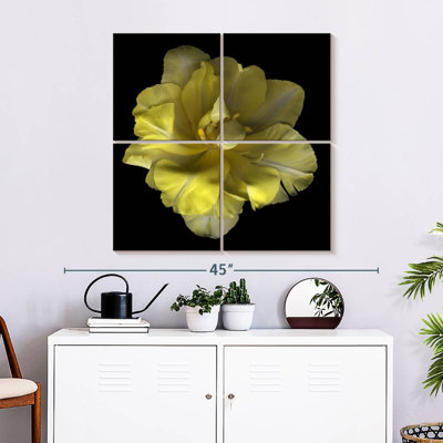 Harnek Yellow Tulip I