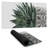 Zebra plant succulent - 15.75"x31.50" Desk mat