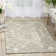 Platine Oriental Area Rug in Beige