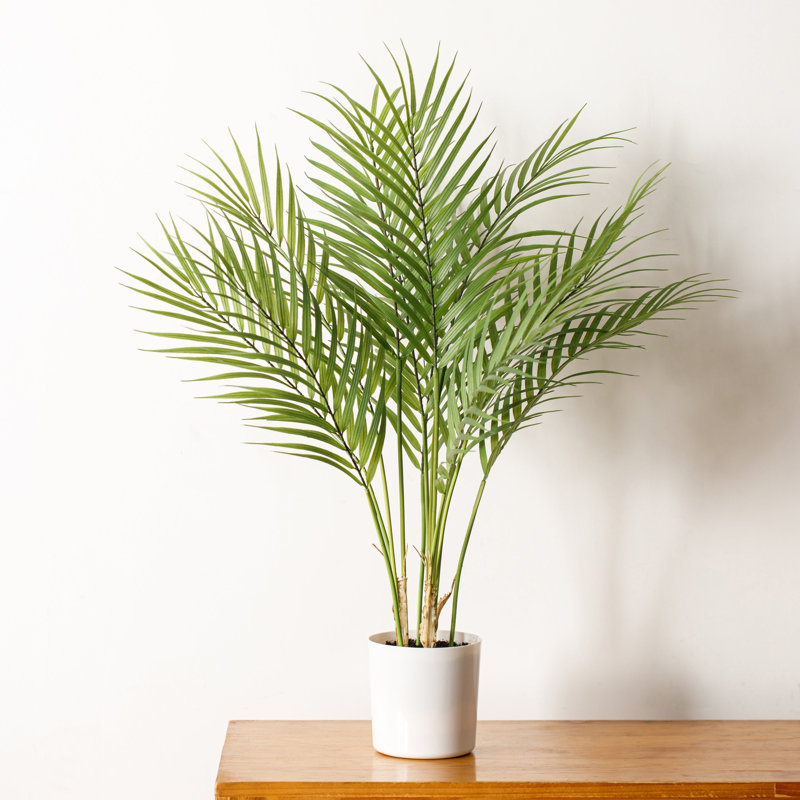 Faux palmier en pot blanc, 1