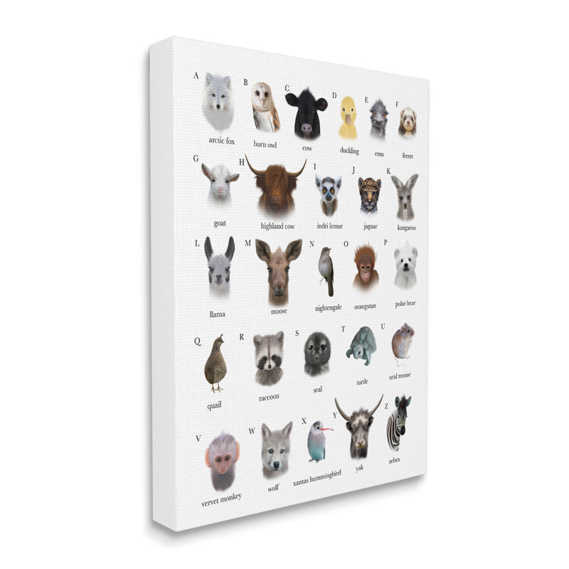 Carte alphabétique des animaux sauvages - Impression sur toile, Toile tendue, H 48 po x l 36 po