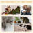 177.8cm H Cat Tree