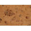 Tapis oriental doré / brun clair en laine noué à la main 7 pi 10 po x 10 pi 3 po Abbigail