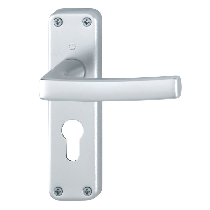 Dubayy Interior Mortise Door Handle, Silver