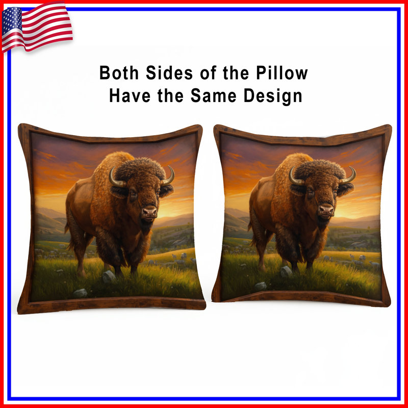 Coussins Bison In Grassland, 20 x 20 inches
