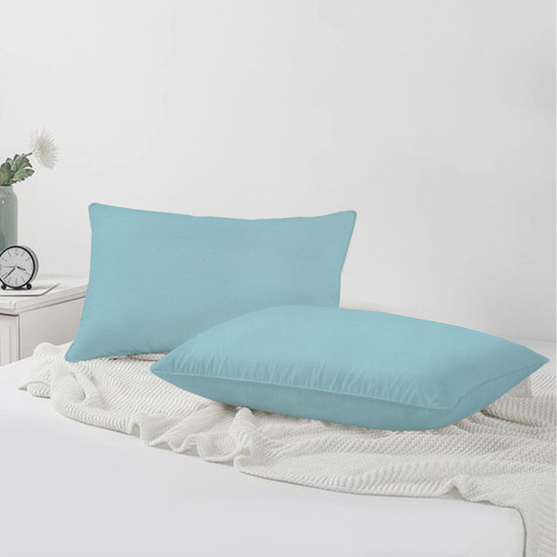 A1HC Set of 2 Soft Velvet Hypoallergenic Throw Pillow Covers with Hidden Zipper, Light Blue, 12"H x 20"W
