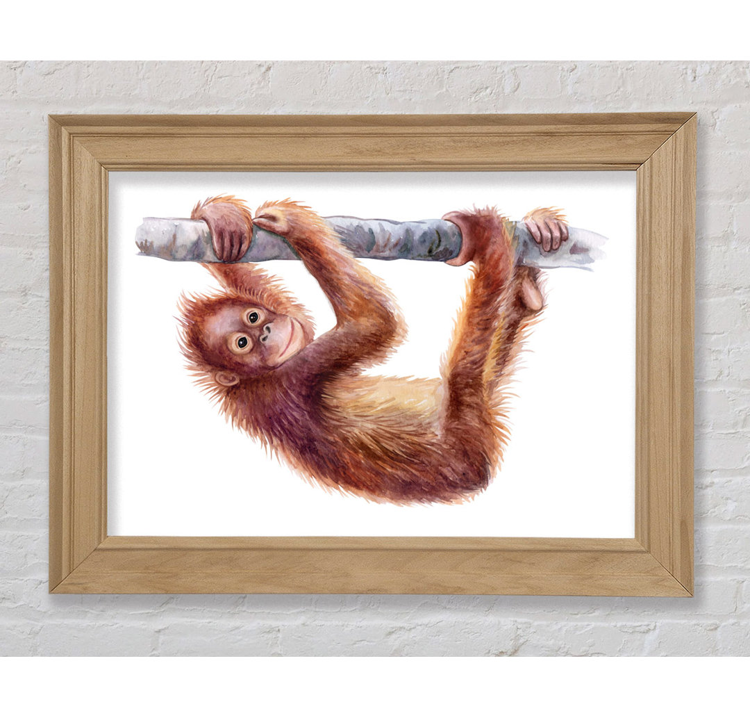 Orang-Utan auf einem Ast hängend - Einzelner Bilderrahmen Kunstdrucke