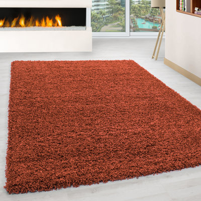 Riam Shaggy Area Rug