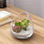 Glass Terrarium